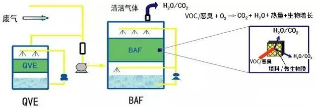 57、生物法處理有機廢氣